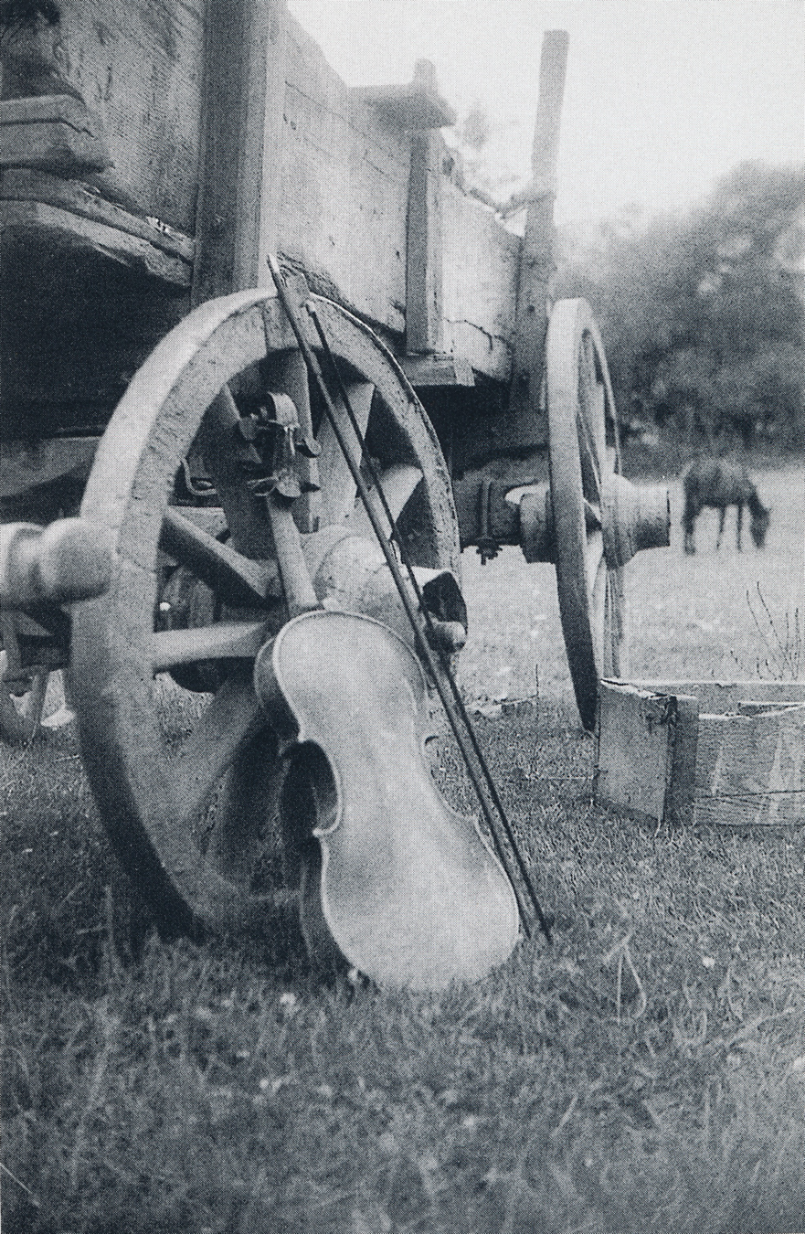 bouvier.png bouvier.png